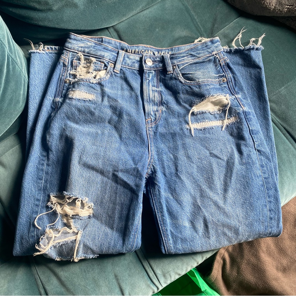 American Eagle Distressed Mom Jean